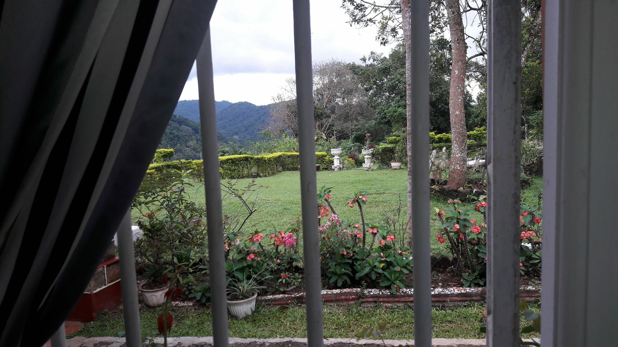 Oyo 441 Kandy Hill Bungalow Esterno foto
